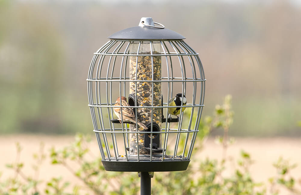 Apollo feeder with protective cage - only small garden birds can access the food